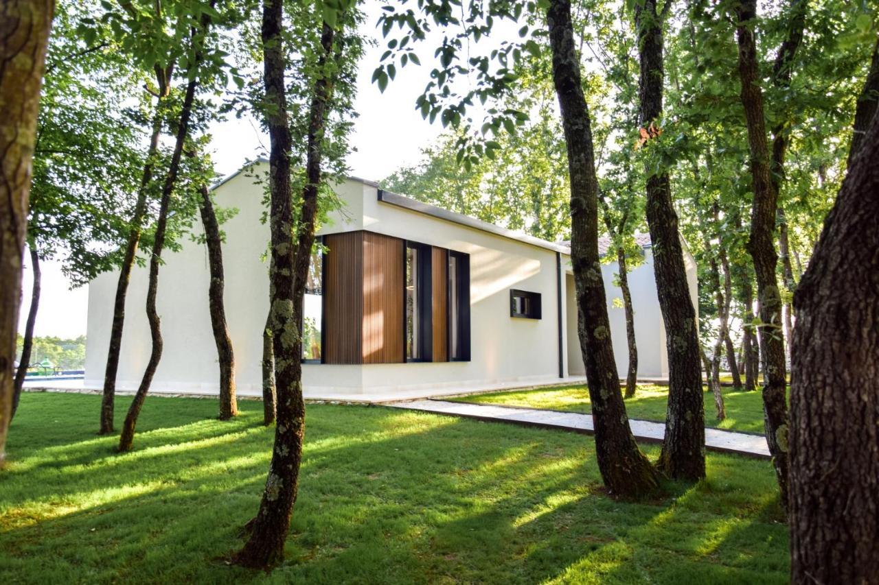 Casa Bosca With Heated Pool Villa Sveti Petar u Sumi Buitenkant foto
