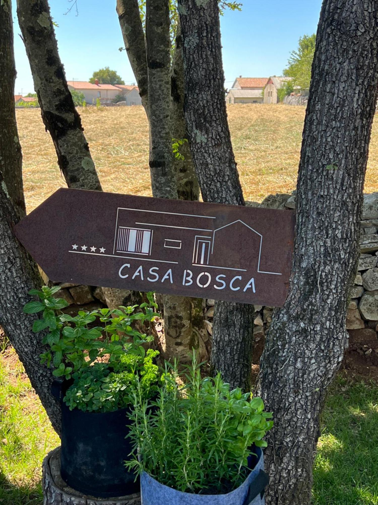 Casa Bosca With Heated Pool Villa Sveti Petar u Sumi Buitenkant foto